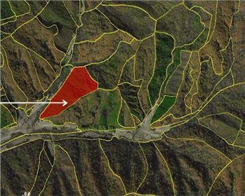 什么是影像地圖？