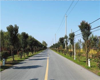  什么是公路基本建設程序？什么是公路建設項目經(jīng)濟評價？